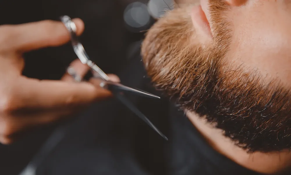 barbier