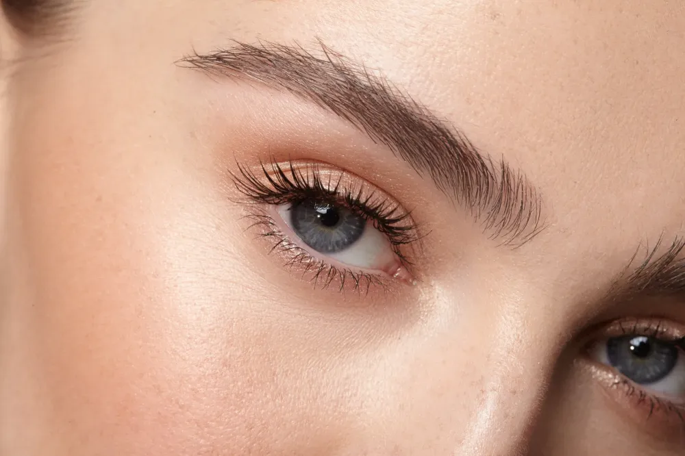 regard